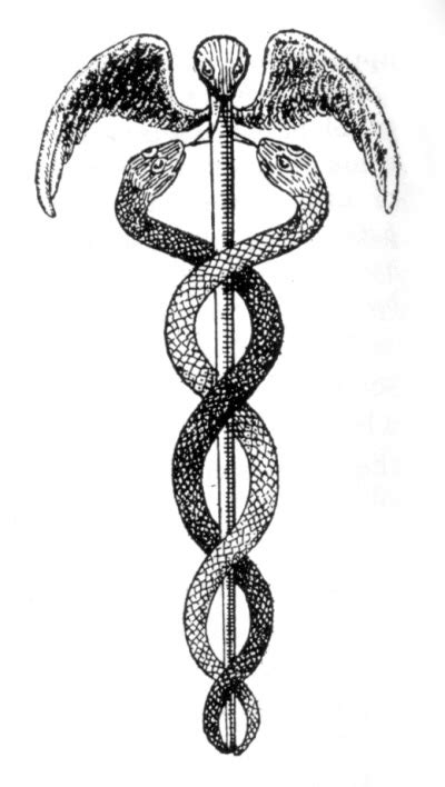 cadusious of hermes